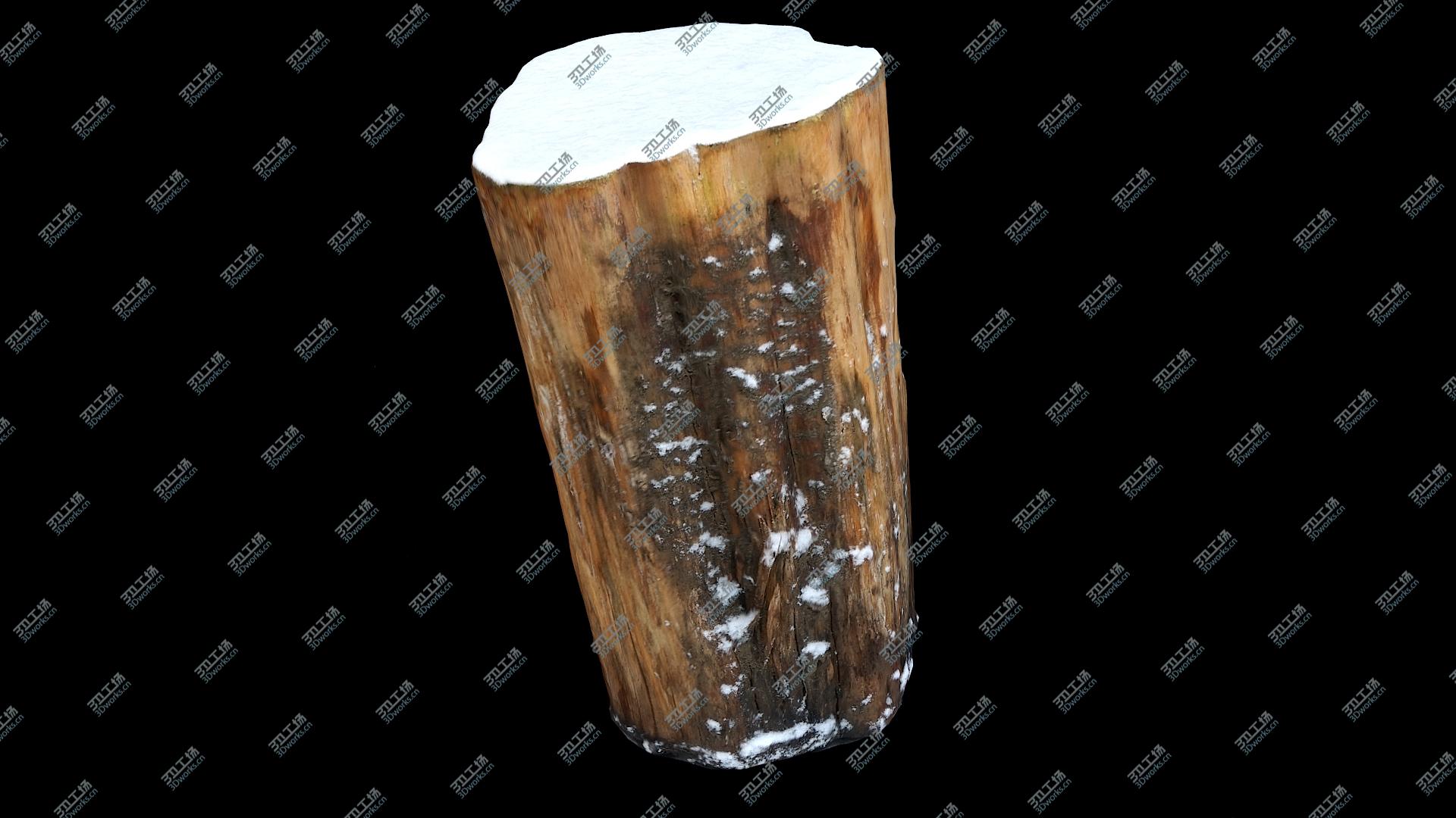 images/goods_img/20210319/Tree Stump Collection 06 3D model/4.jpg